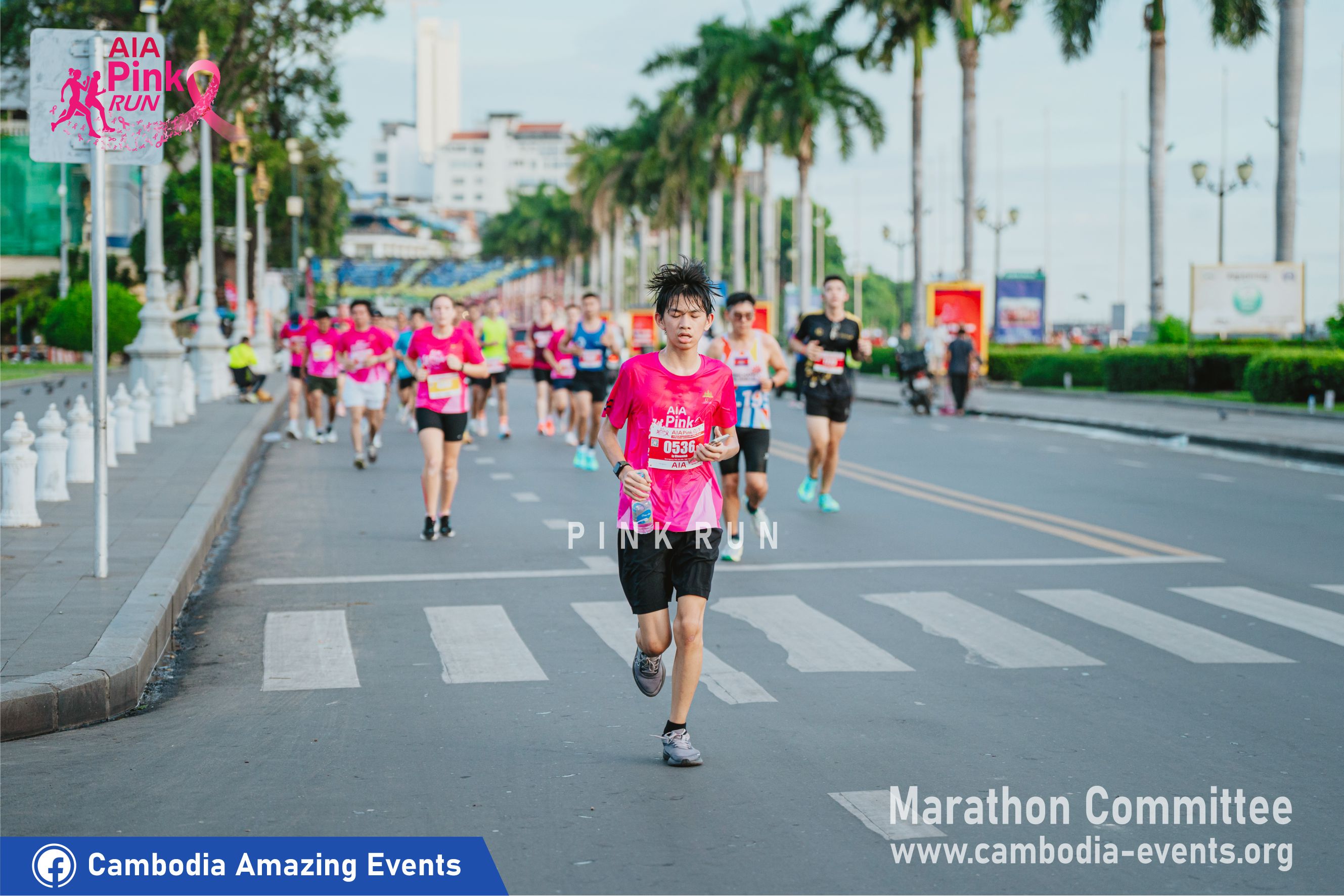 AIA PINK RUN